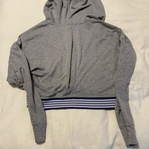 Altr’d State Gray Cropped Hoodie